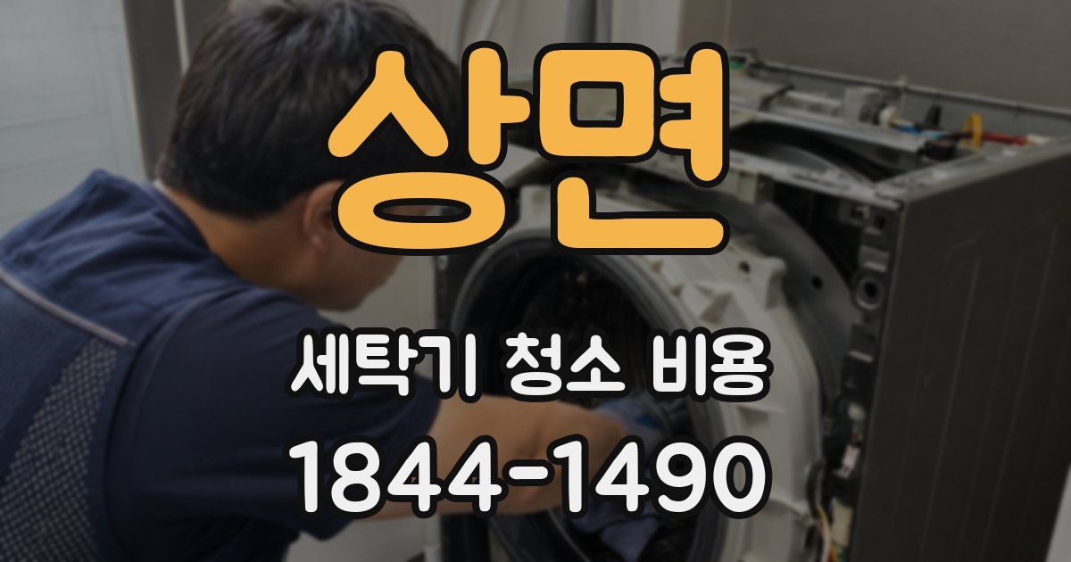 상면 세탁기 청소 비용