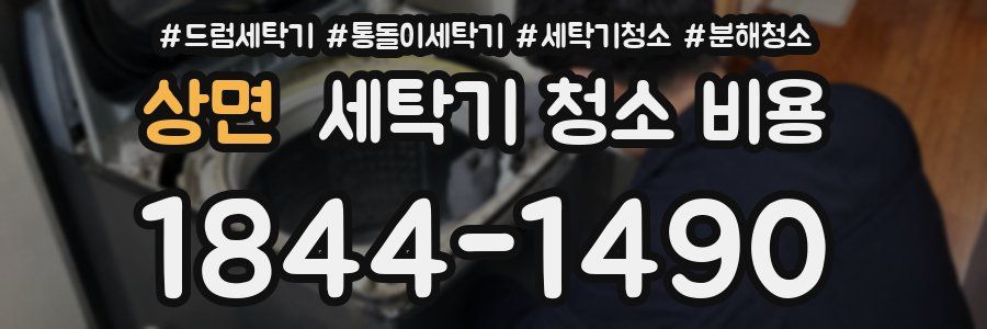 상면 세탁기 청소 비용