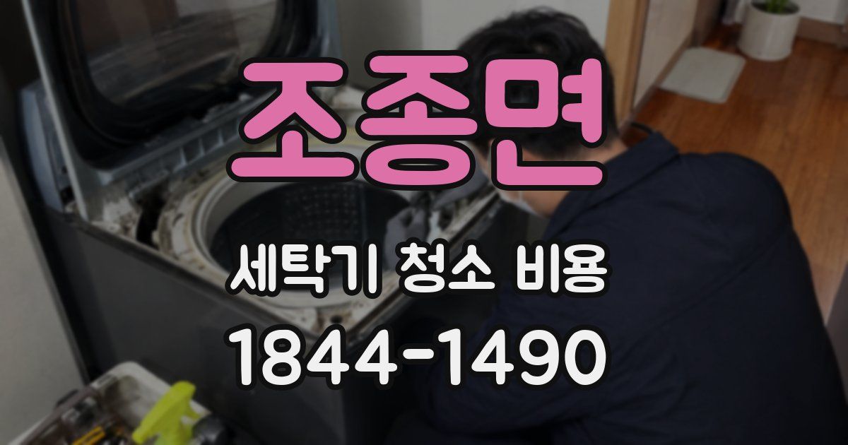 조종면 세탁기 청소 비용