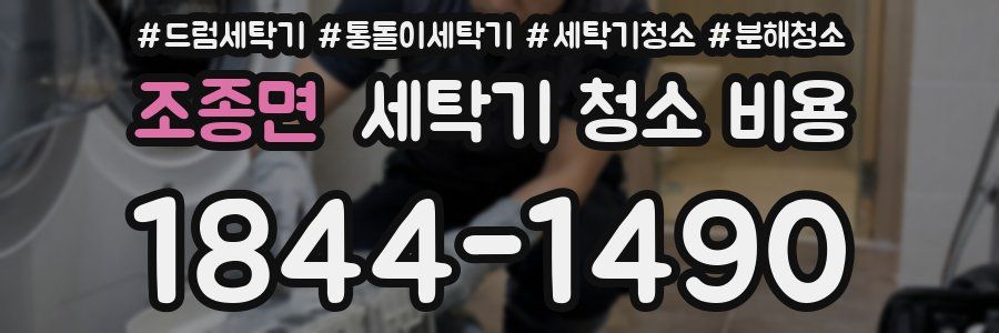 조종면 세탁기 청소 비용