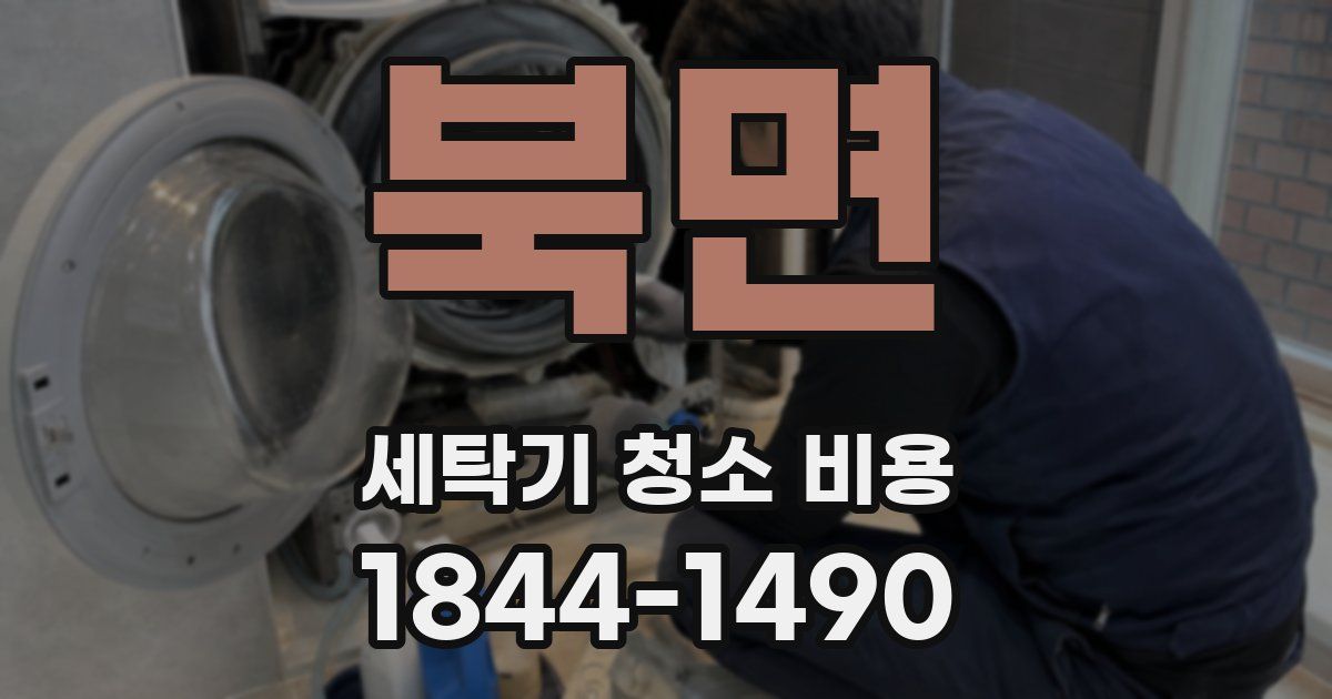 북면 세탁기 청소 비용