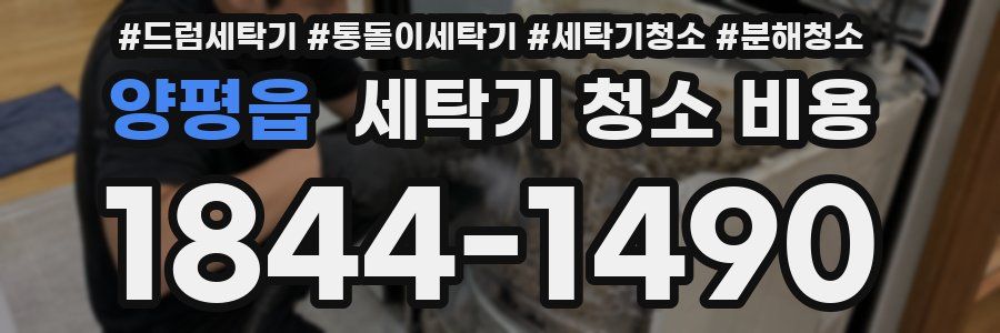 양평읍 세탁기 청소 비용