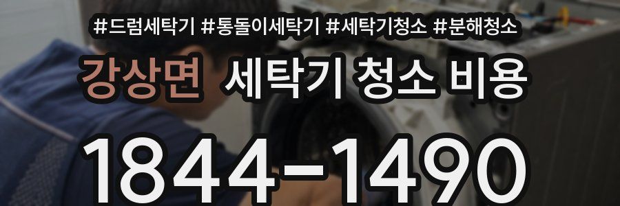 강상면 세탁기 청소 비용