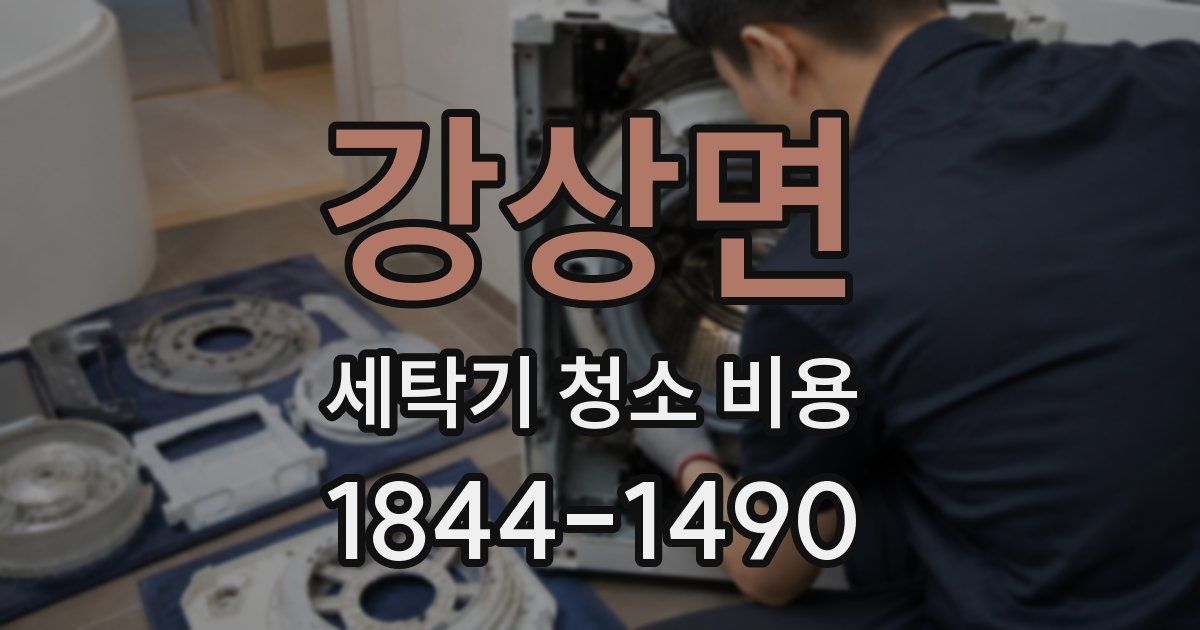 강상면 세탁기 청소 비용