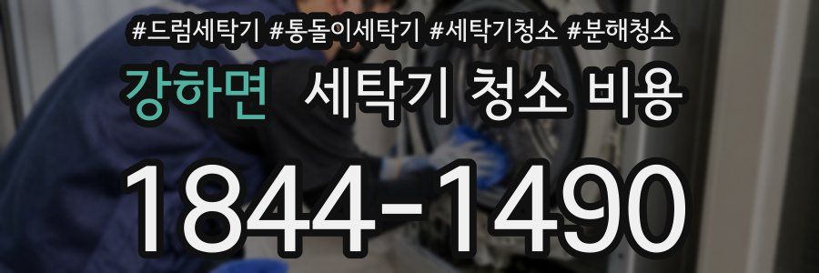 강하면 세탁기 청소 비용