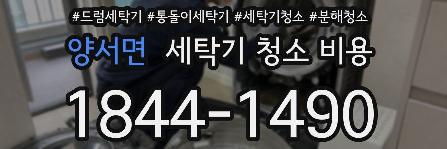 양서면 세탁기 청소 비용