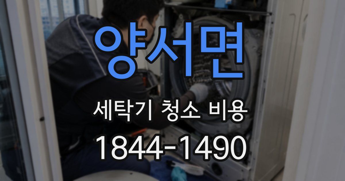 양서면 세탁기 청소 비용