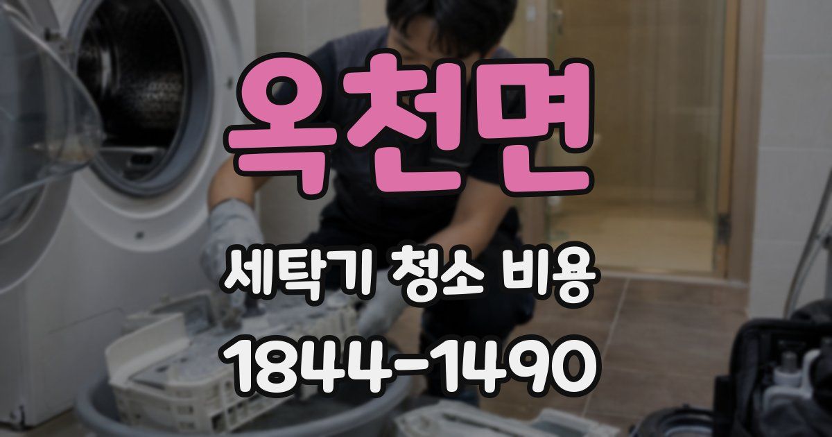 옥천면 세탁기 청소 비용