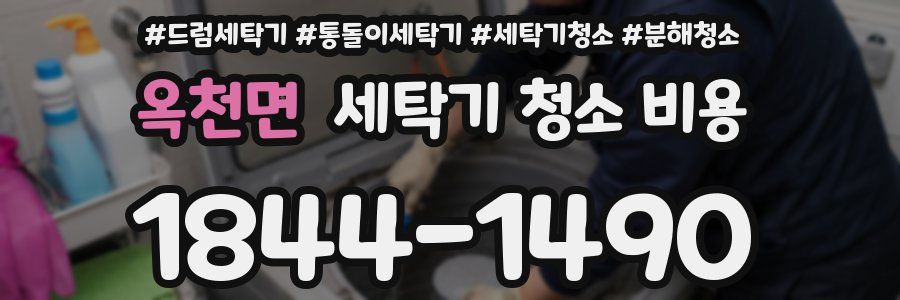 옥천면 세탁기 청소 비용