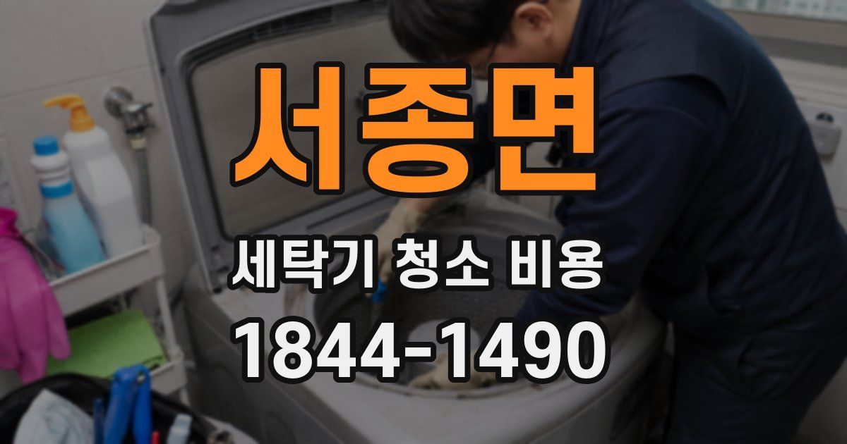 서종면 세탁기 청소 비용