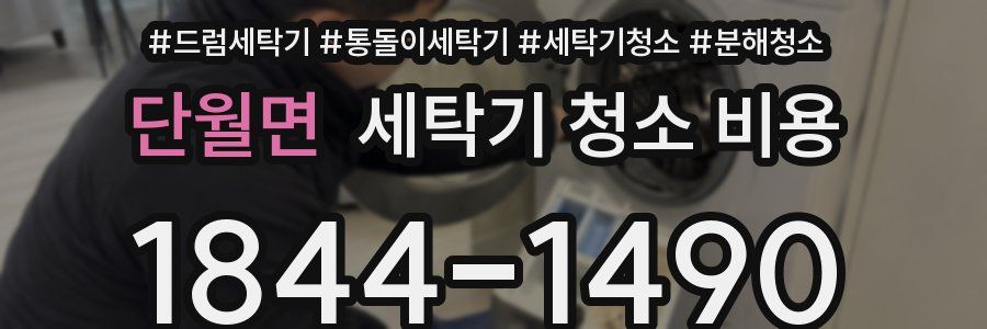 단월면 세탁기 청소 비용