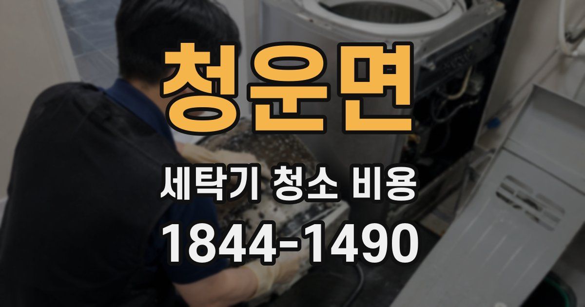 청운면 세탁기 청소 비용