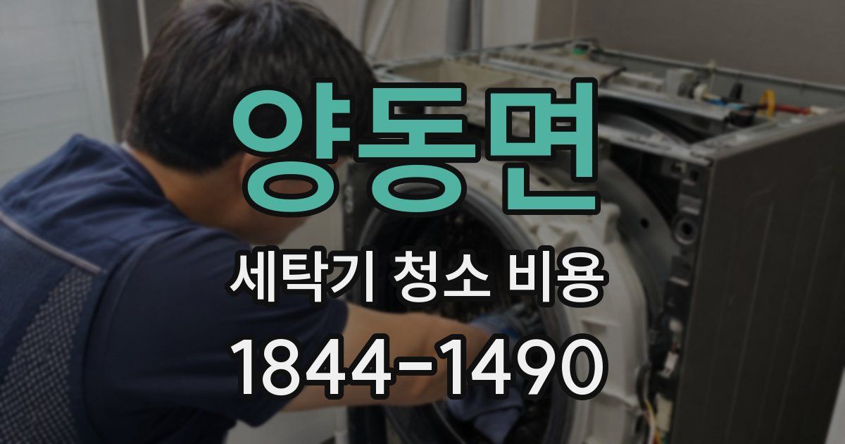 양동면 세탁기 청소 비용