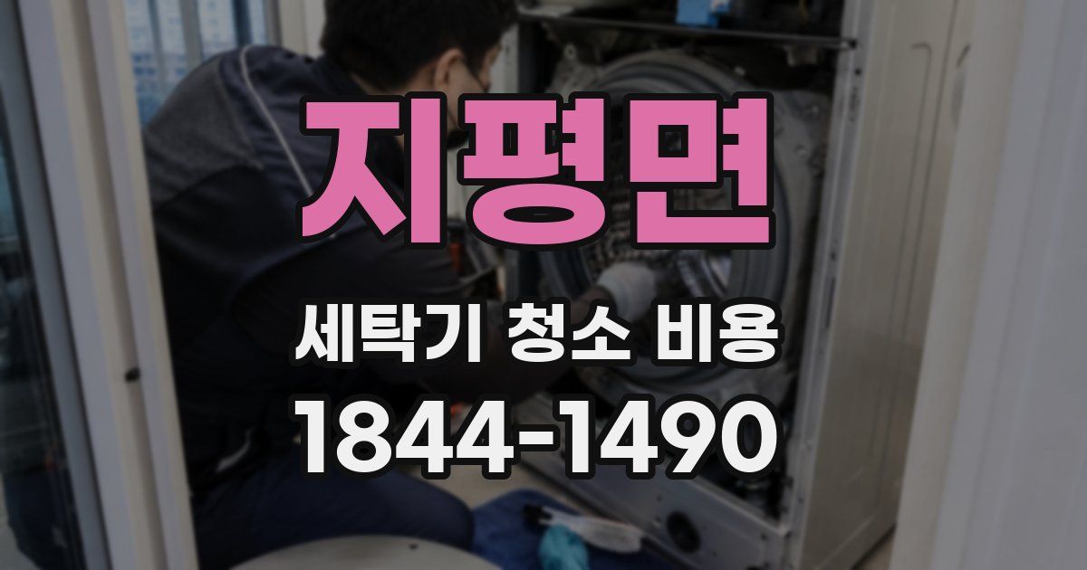 지평면 세탁기 청소 비용