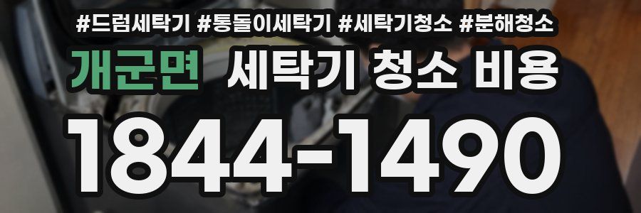 개군면 세탁기 청소 비용