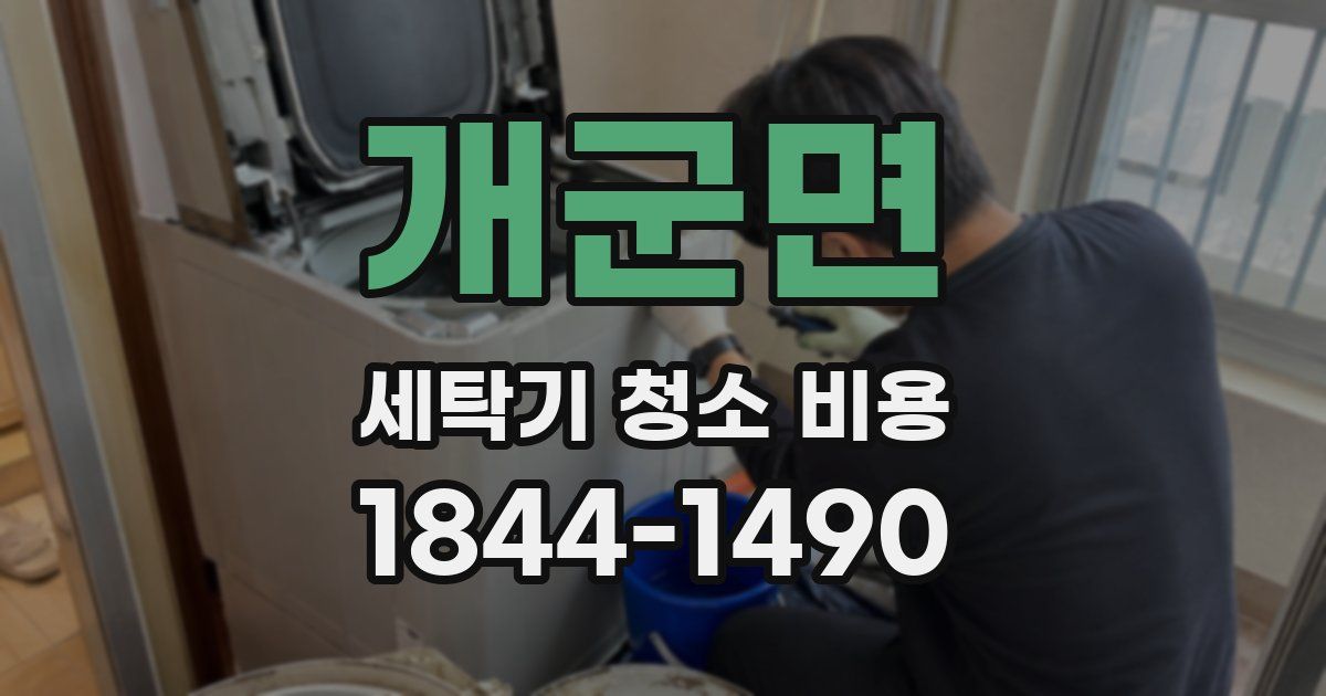 개군면 세탁기 청소 비용