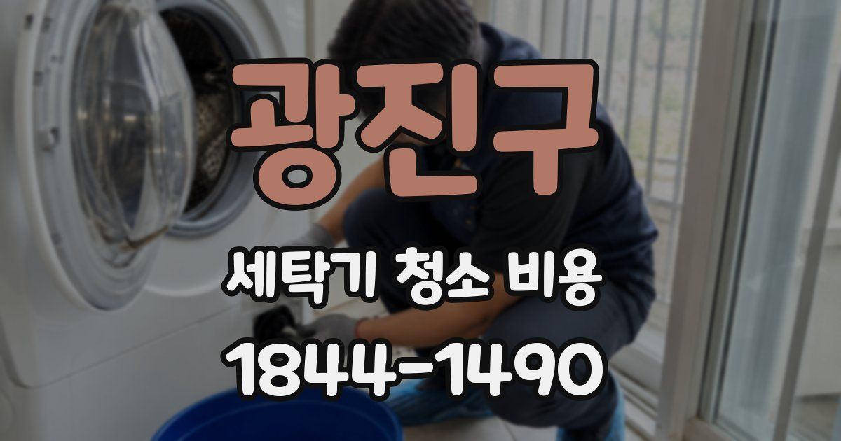 광진구 세탁기 청소 비용