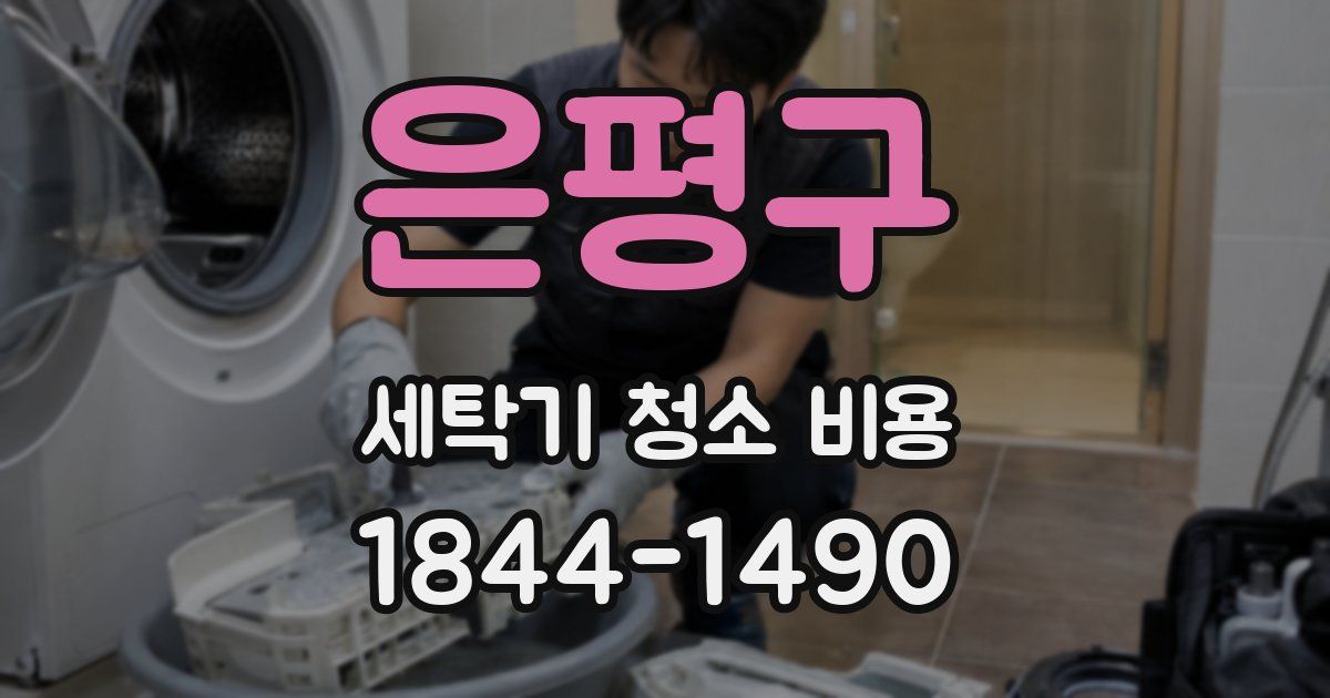 은평구 세탁기 청소 비용