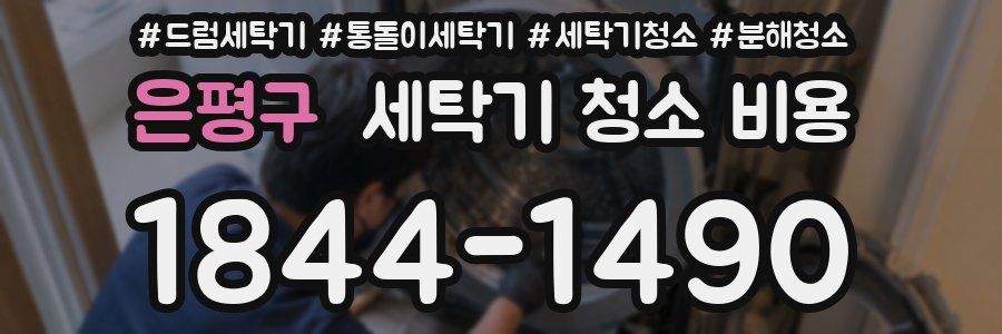 은평구 세탁기 청소 비용