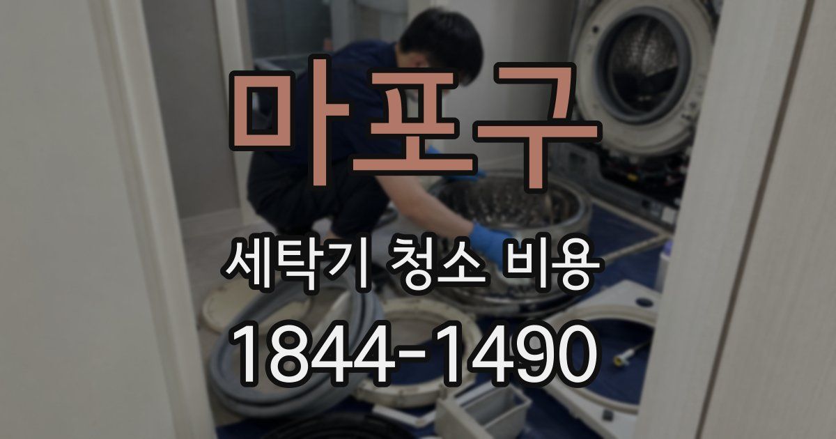 마포구 세탁기 청소 비용