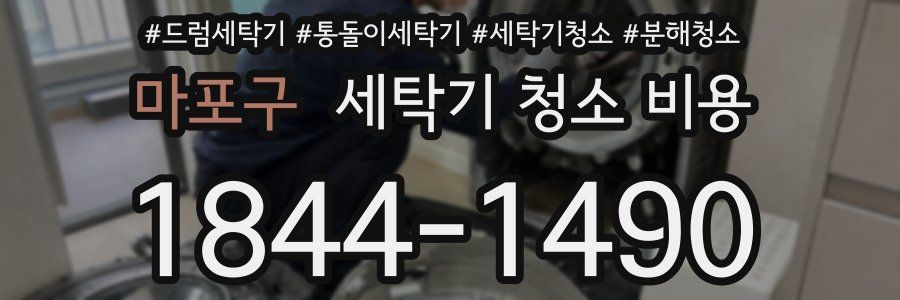 마포구 세탁기 청소 비용