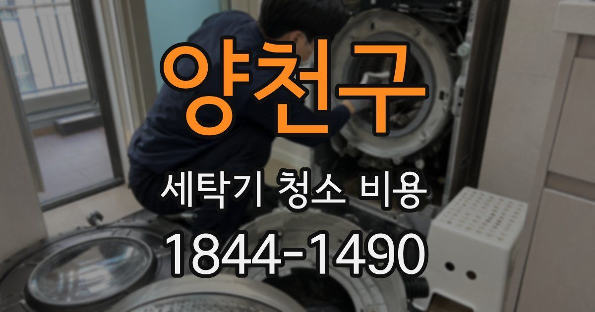 양천구 세탁기 청소 비용