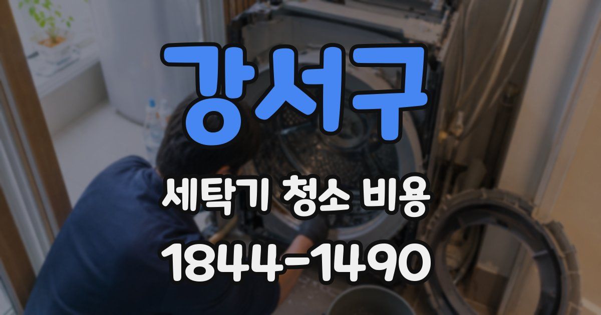 강서구 세탁기 청소 비용