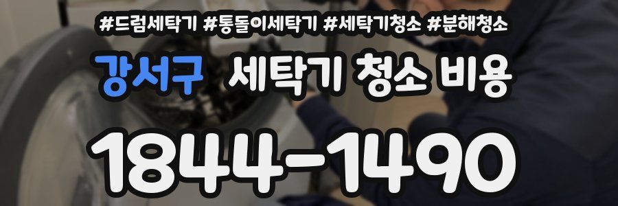 강서구 세탁기 청소 비용