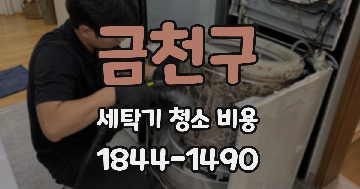 금천구 세탁기 청소 비용