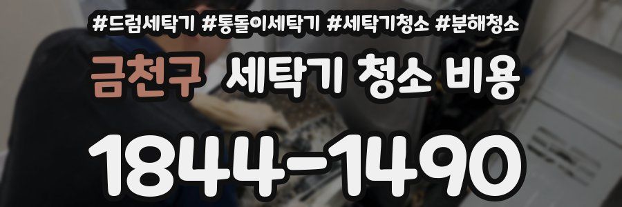 금천구 세탁기 청소 비용