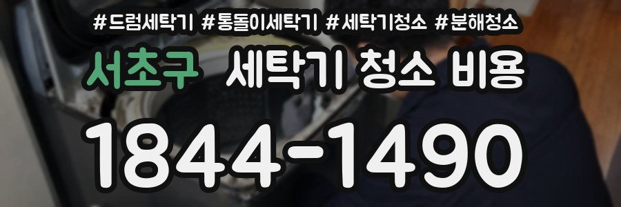 서초구 세탁기 청소 비용