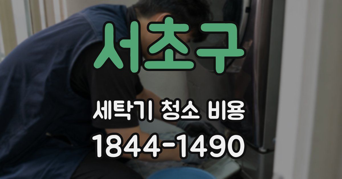 서초구 세탁기 청소 비용