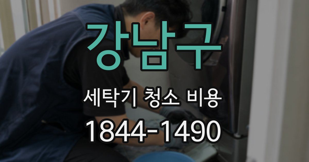 강남구 세탁기 청소 비용