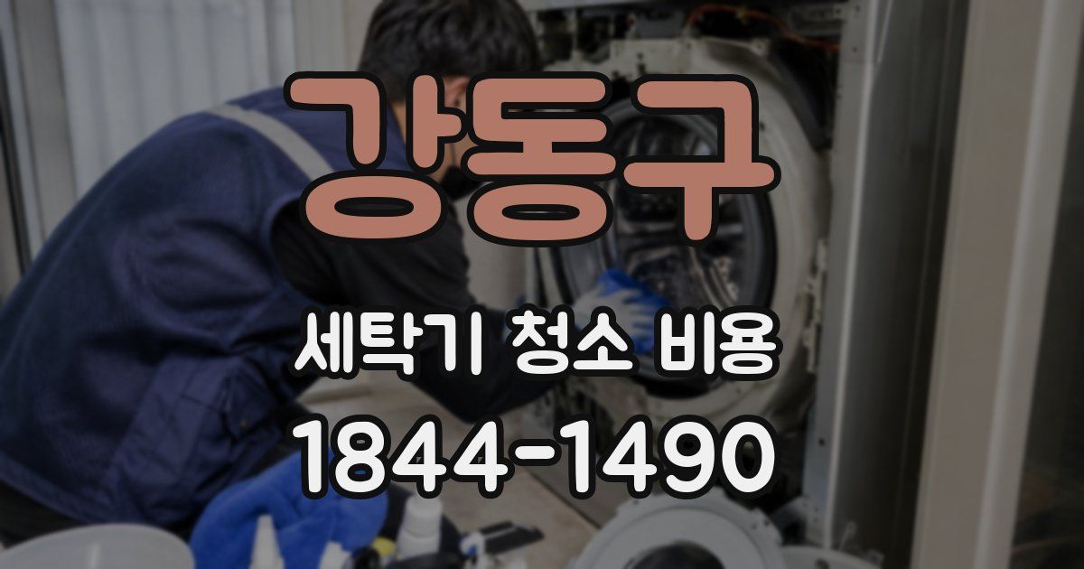 강동구 세탁기 청소 비용