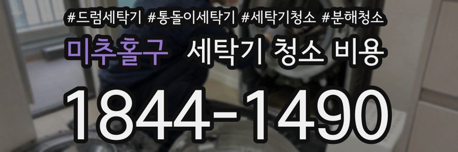 미추홀구 세탁기 청소 비용