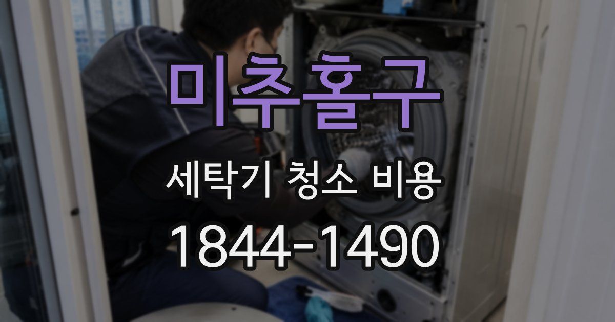 미추홀구 세탁기 청소 비용