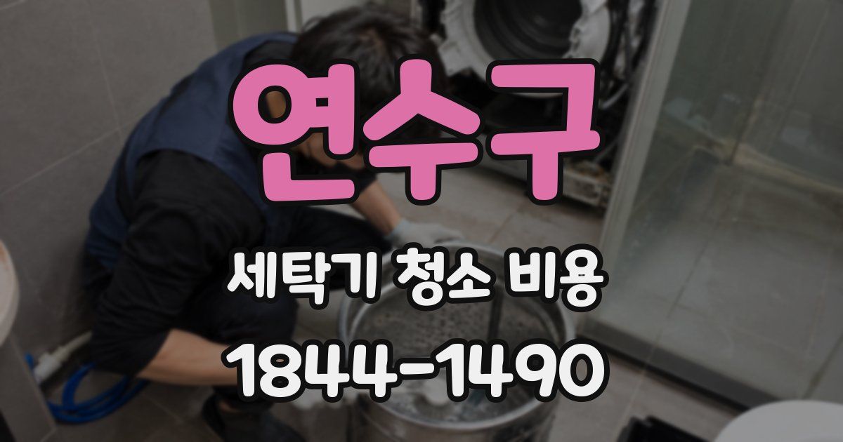연수구 세탁기 청소 비용