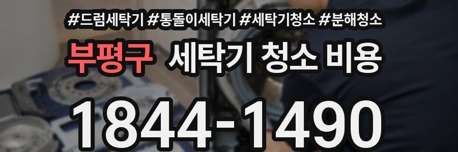 부평구 세탁기 청소 비용