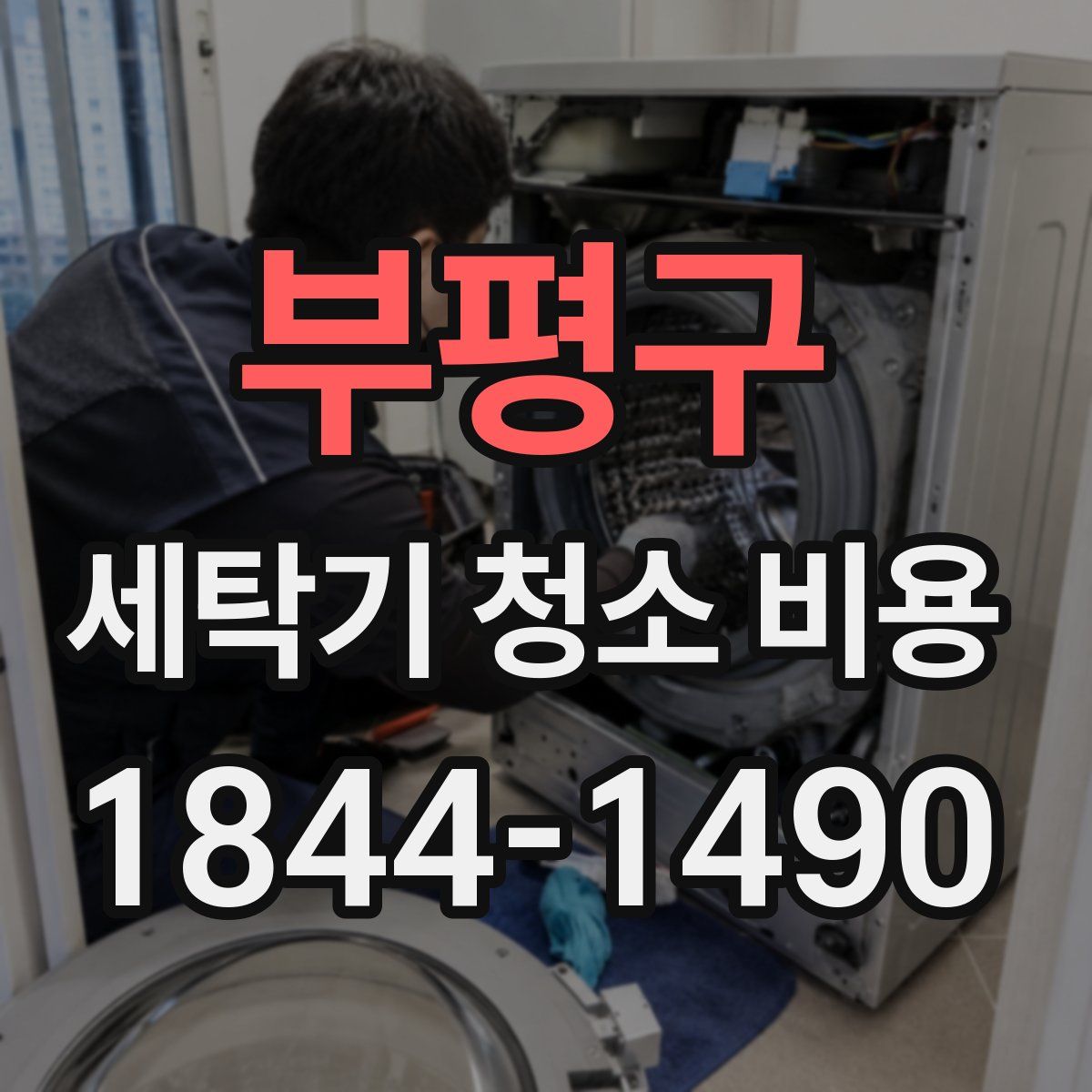 부평구 세탁기 청소 비용