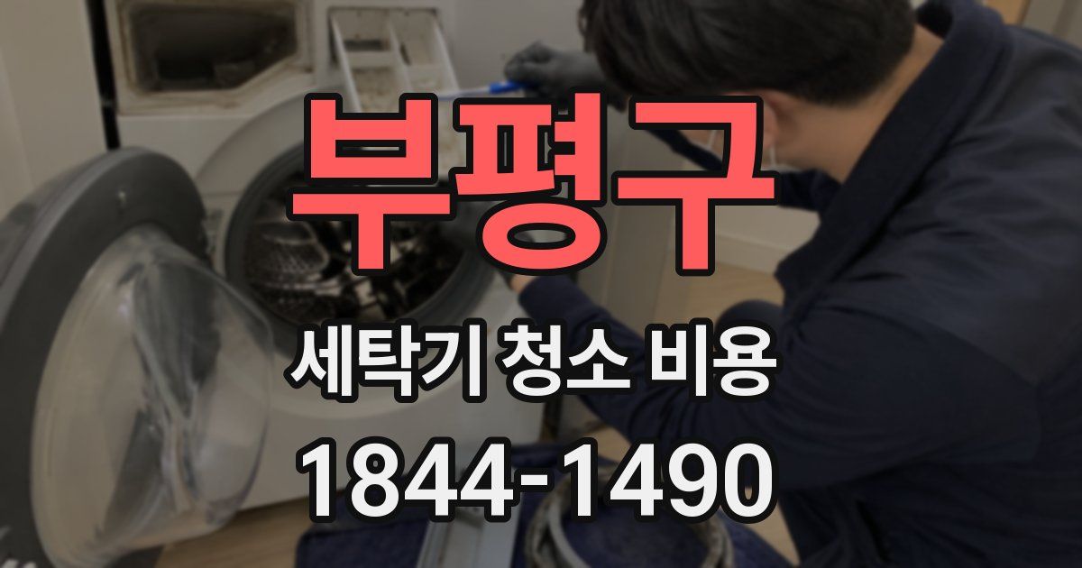 부평구 세탁기 청소 비용