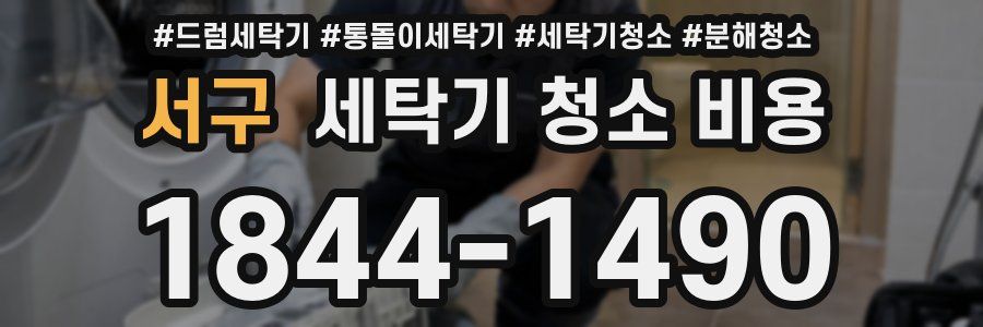 서구 세탁기 청소 비용