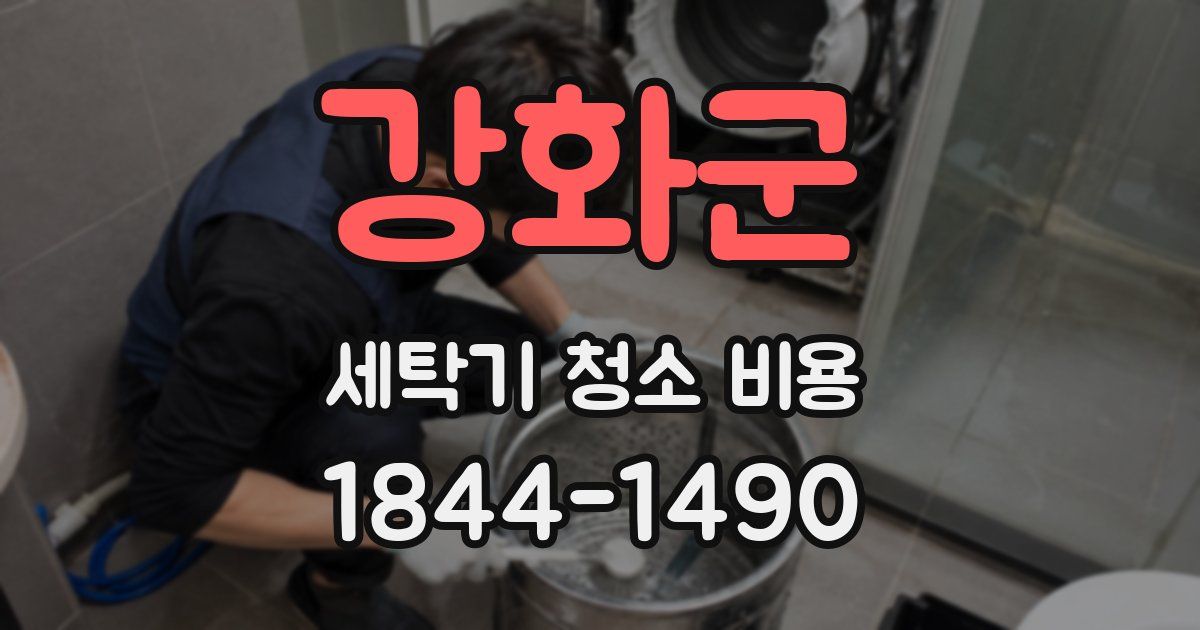 강화군 세탁기 청소 비용