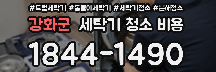 강화군 세탁기 청소 비용