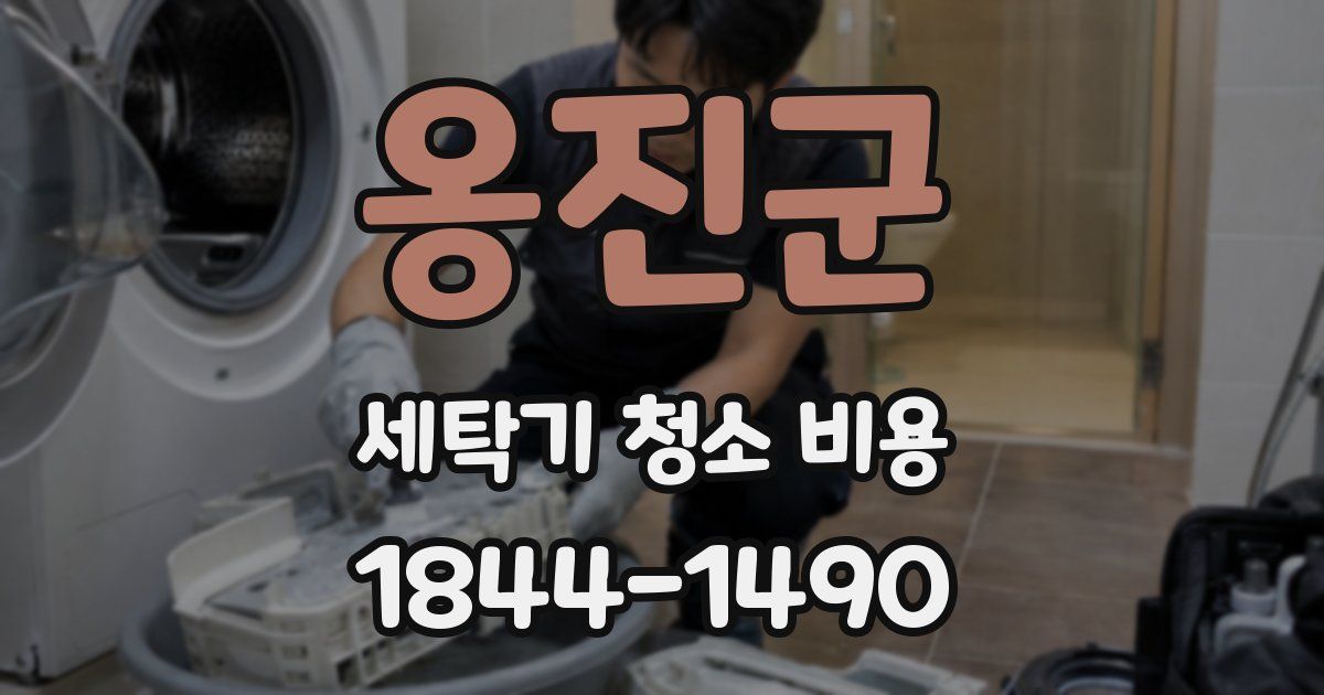 옹진군 세탁기 청소 비용