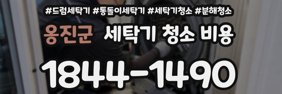 옹진군 세탁기 청소 비용