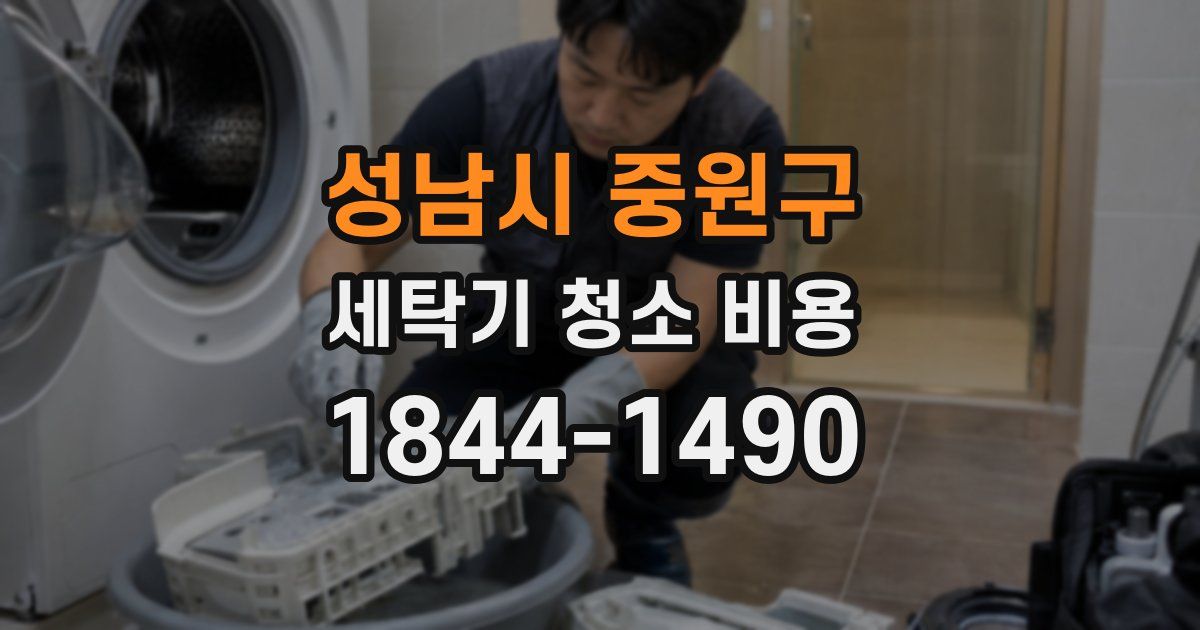 성남시 중원구 세탁기 청소 비용