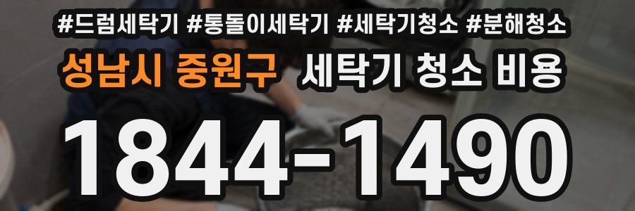 성남시 중원구 세탁기 청소 비용
