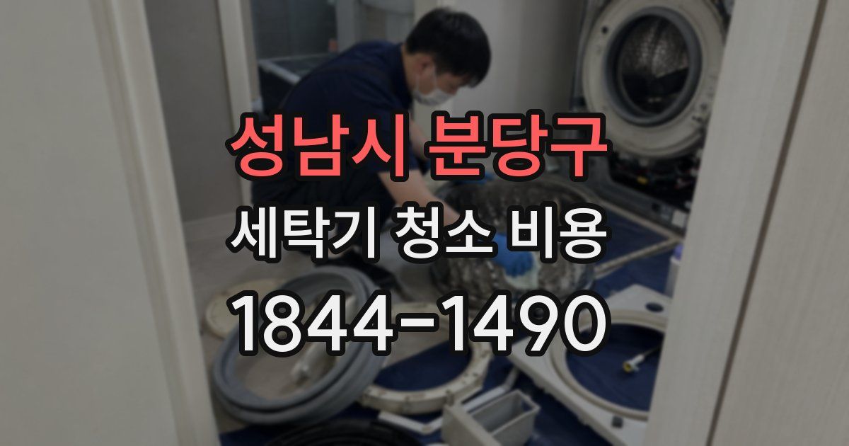 성남시 분당구 세탁기 청소 비용