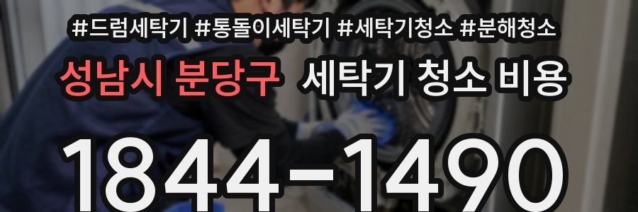 성남시 분당구 세탁기 청소 비용