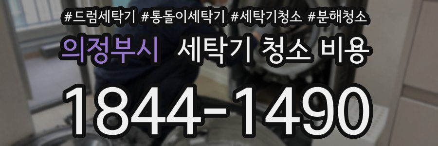 의정부시 세탁기 청소 비용